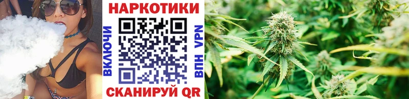 Купить наркотик аптеки Снежногорск ГАШИШ  COCAIN  Мефедрон  МДМА  Каннабис 