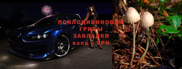 тгк Аркадак
