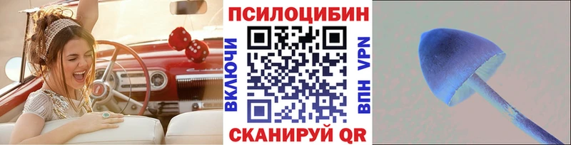 Галлюциногенные грибы Magic Shrooms  где купить   Снежногорск 